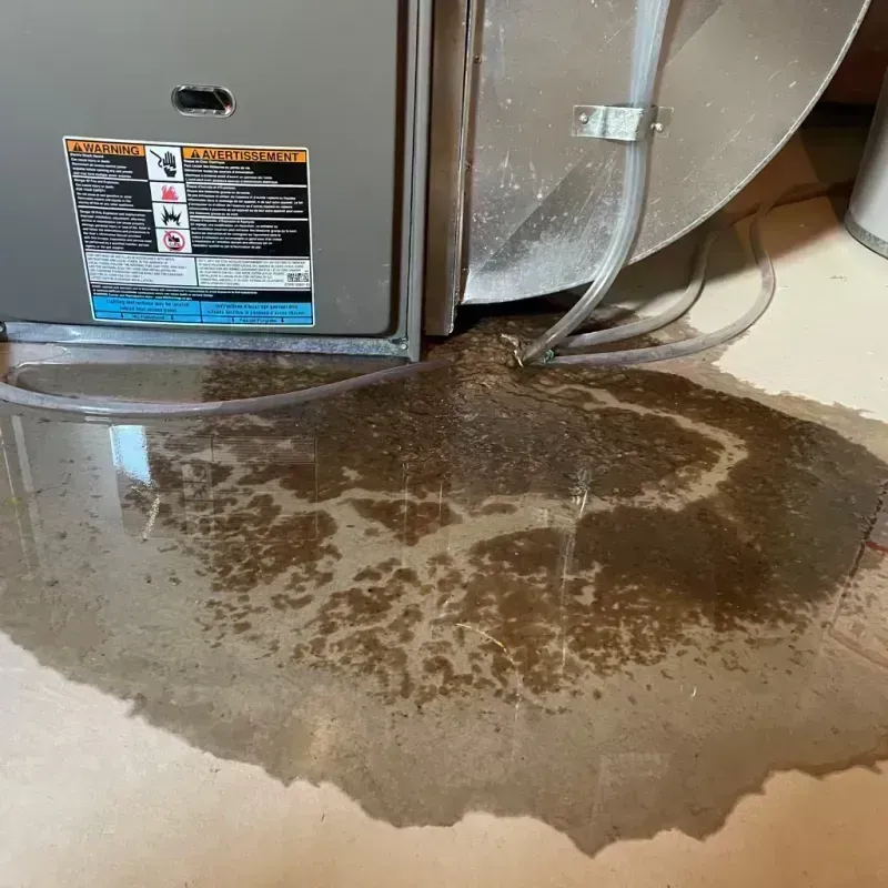 Appliance Leak Cleanup in Pell City, AL